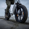 Fat Tire
