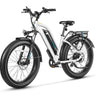 Electric Cruiser
