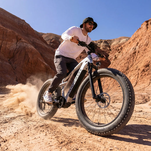 Electric All-Terrain