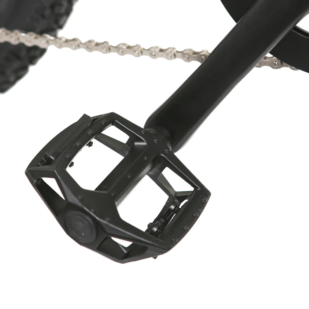 NAKTO BIKES Electric Fat Tire Bike - Santa Monica