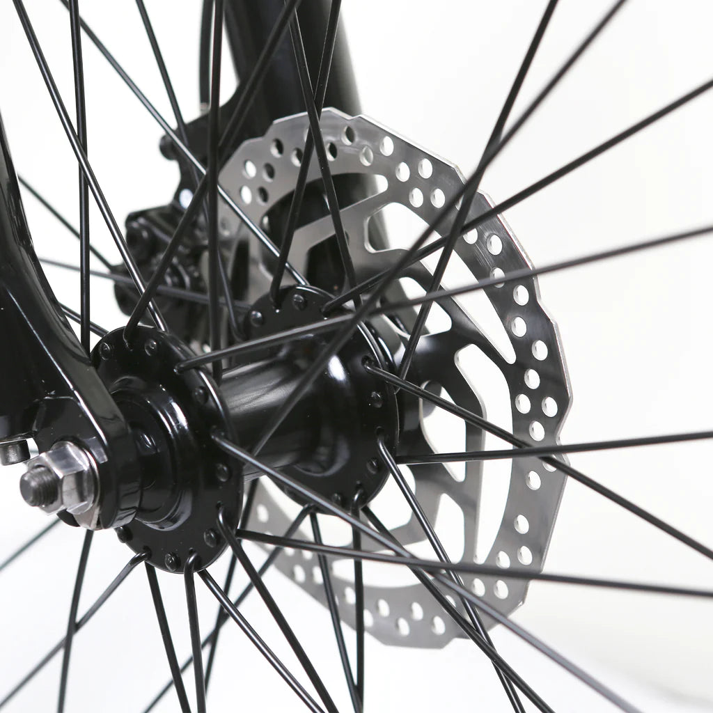 NAKTO BIKES Electric Fat Tire Bike - Santa Monica