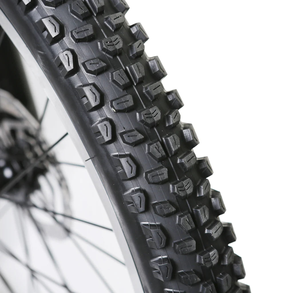 NAKTO BIKES Electric Fat Tire Bike - Santa Monica
