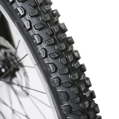 NAKTO BIKES Electric Fat Tire Bike - Santa Monica