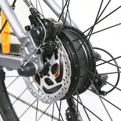 NAKTO BIKES Electric Fat Tire Bike - Santa Monica
