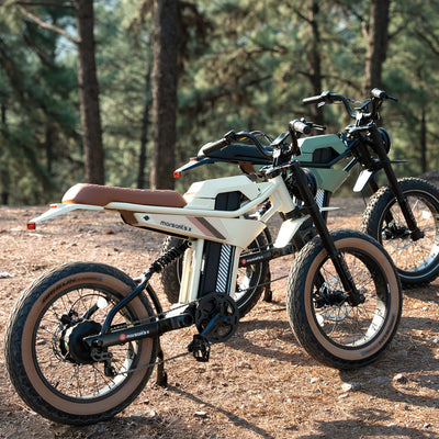 Marsantsx ANT6 1000W Dual-Suspension Fat Tire Electric Bike
