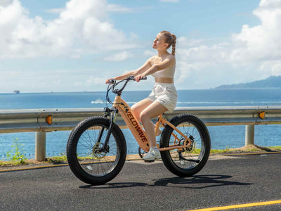 Velowave Rover 750W Step-Thru Fat Tire Electric Bike