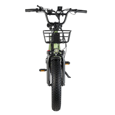 Philodo T1 750W Step-Thru Utility Electric Bike