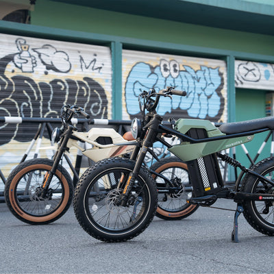Marsantsx ANT6 1000W Dual-Suspension Fat Tire Electric Bike