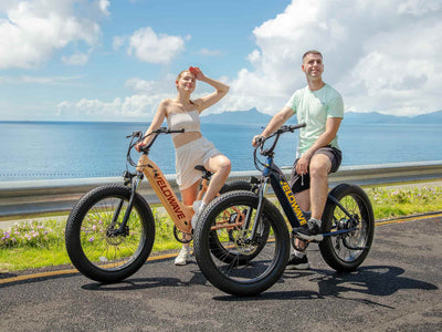 Velowave Rover 750W Step-Thru Fat Tire Electric Bike