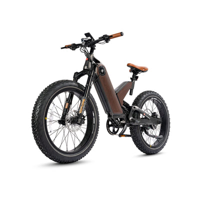 Marsantsx ANT5 750W Step-Through Fat Tire Electric Bike