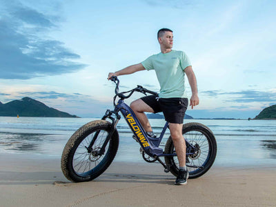 Velowave Rover 750W Step-Thru Fat Tire Electric Bike