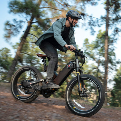 Marsantsx ANT5 750W Step-Through Fat Tire Electric Bike