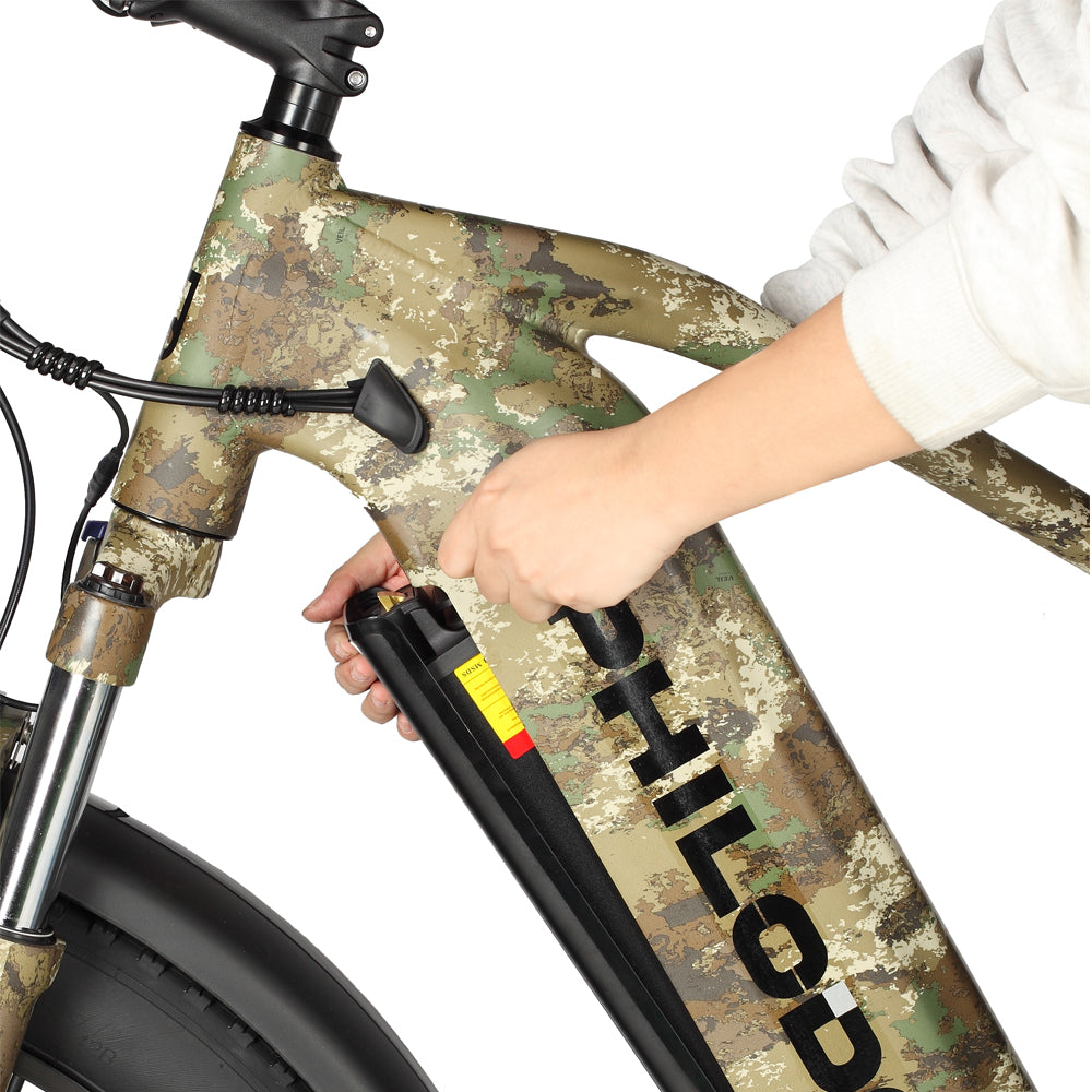 Philodo Falcon 4000W Dual Motor Full Suspension Electric Bike