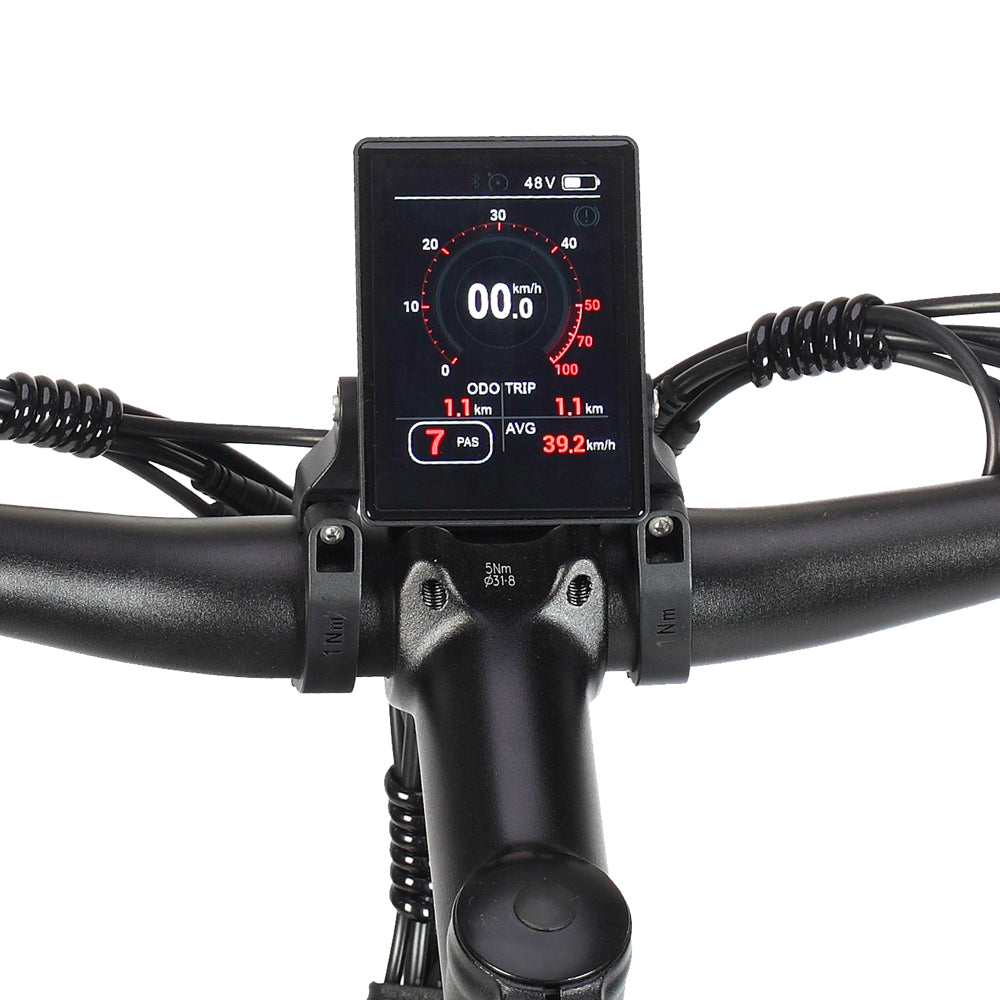 Philodo Jumbo 2000W Dual Motor Dual Battery Full Suspension Electric Bike