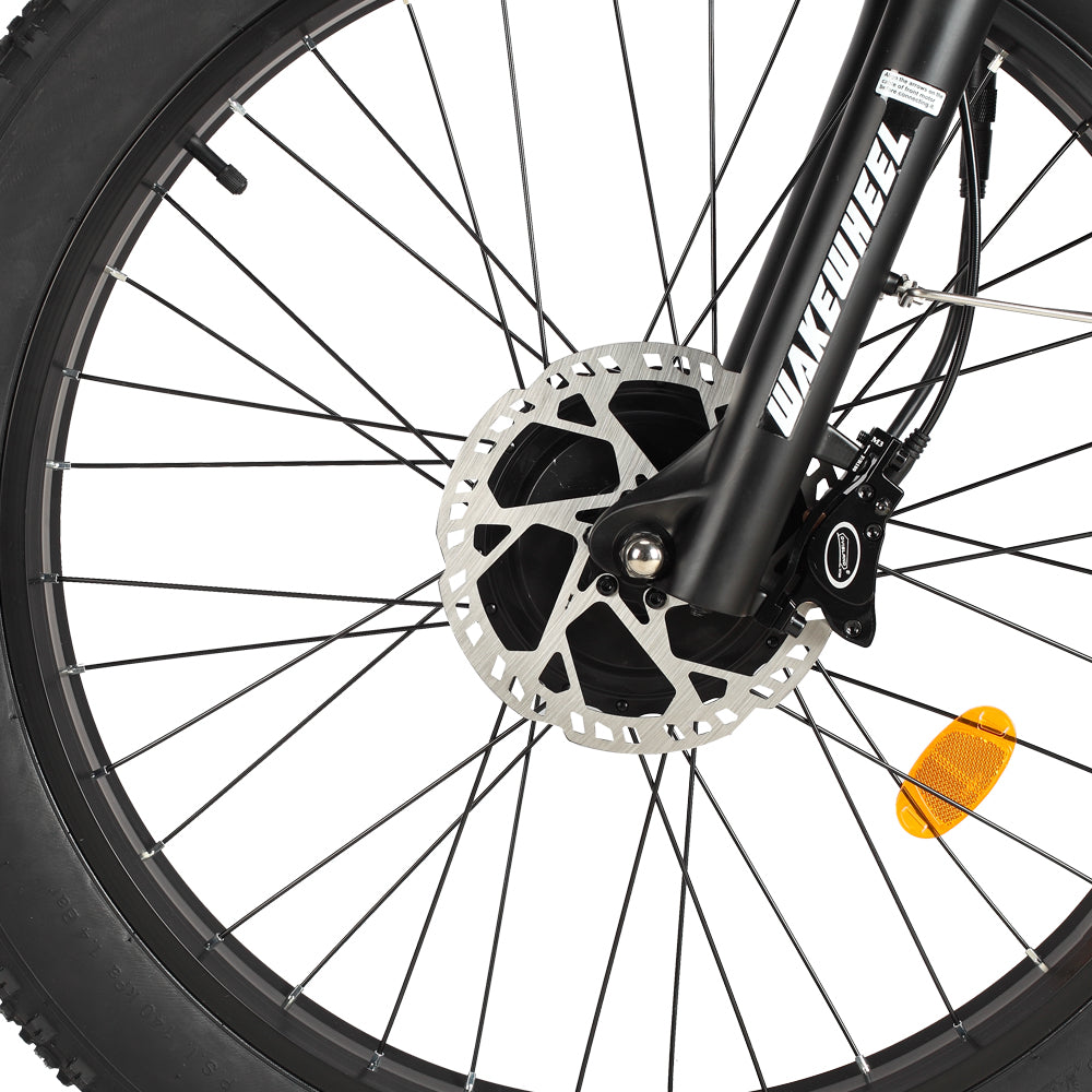 Philodo Forester 4000W Dual Motor Full Suspension Electric Bike