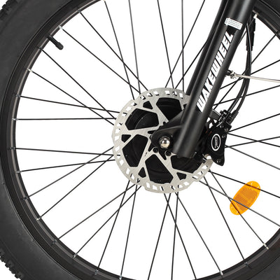 Philodo Forester 4000W Dual Motor Full Suspension Electric Bike