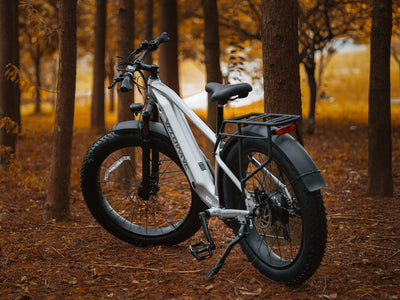Velowave Ranger 3.0 750W Fat Tire All-Terrain Electric Bike