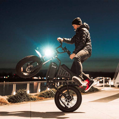 Freego S1 Electric Bike | 750W Powerful Motor Adventure Motorcycle