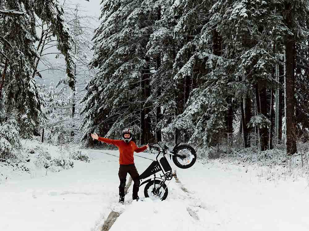 Freego S1 Electric Bike | 750W Powerful Motor Adventure Motorcycle