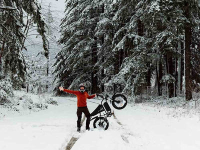 Freego S1 Electric Bike | 750W Powerful Motor Adventure Motorcycle