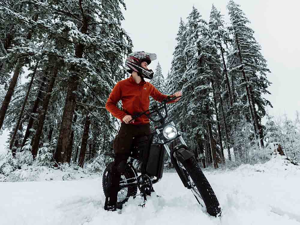 Freego S1 Electric Bike | 750W Powerful Motor Adventure Motorcycle