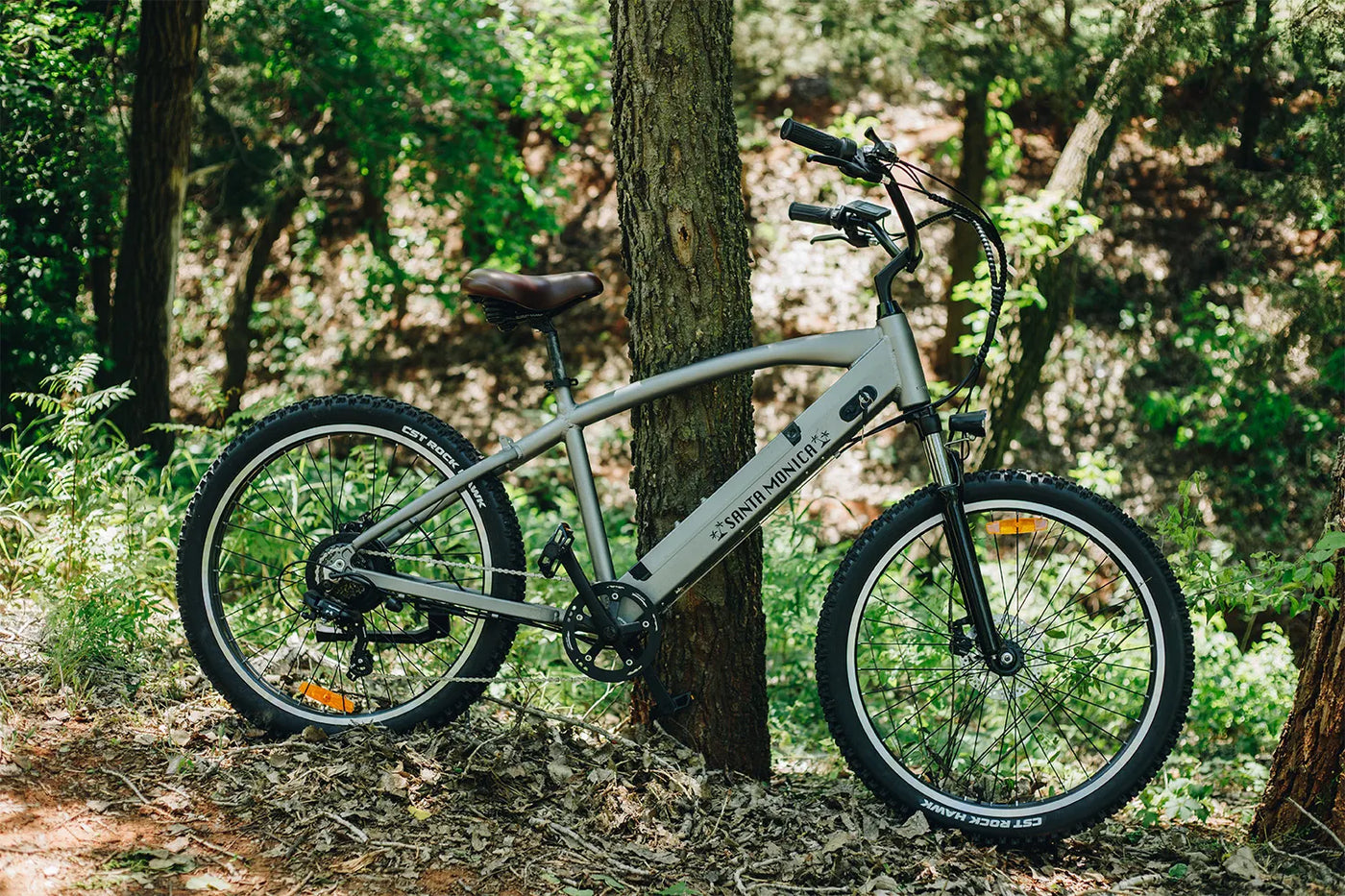 NAKTO BIKES Electric Fat Tire Bike - Santa Monica