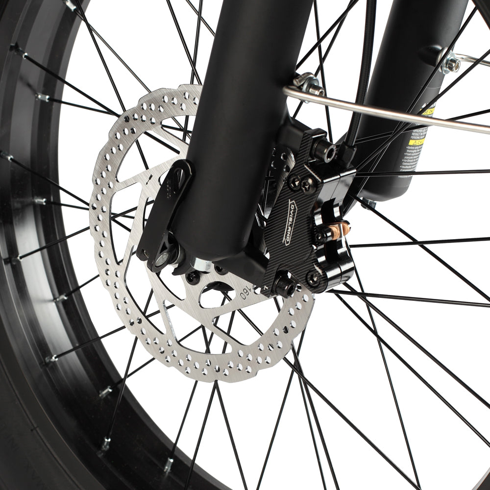 Philodo T1 750W Step-Thru Utility Electric Bike