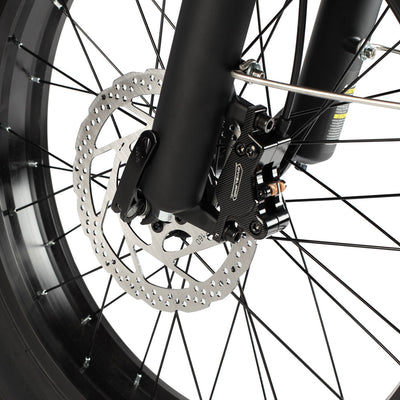 Philodo T1 750W Step-Thru Utility Electric Bike
