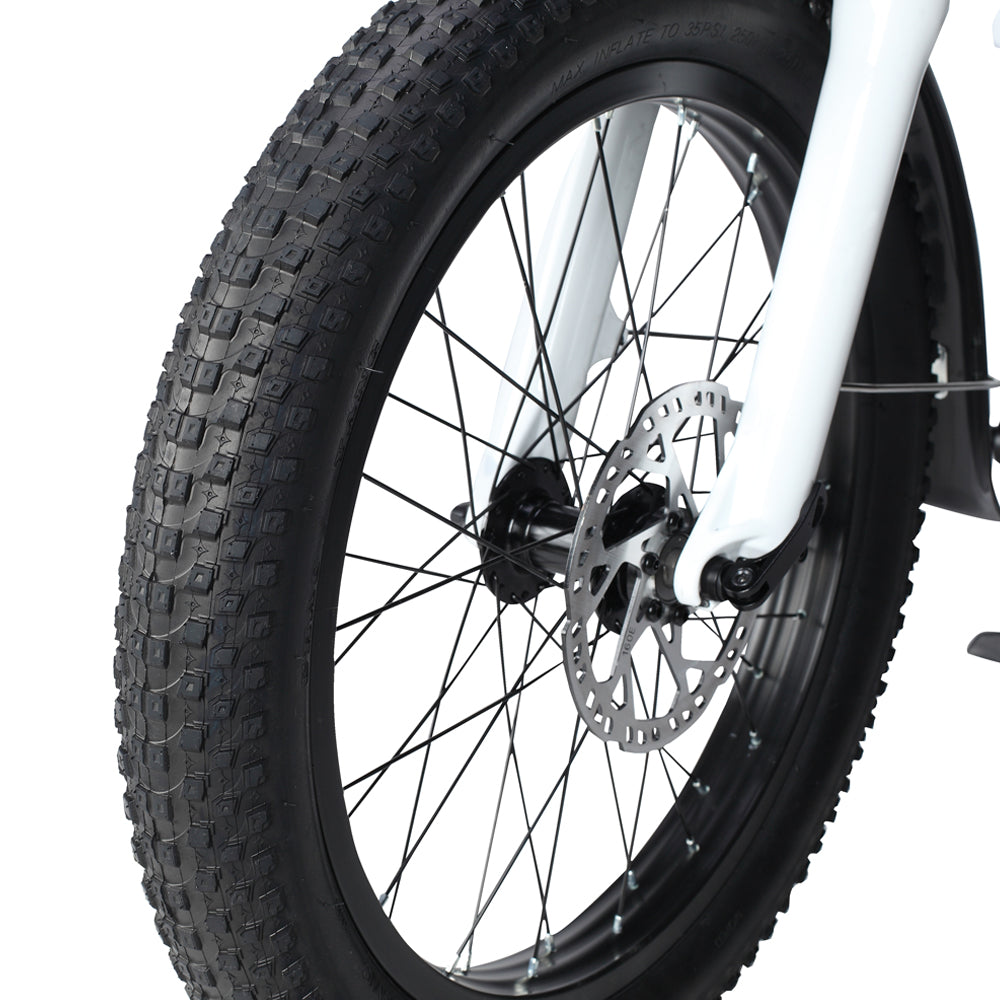 Philodo Traveller 750W Family Cargo Electric Bike