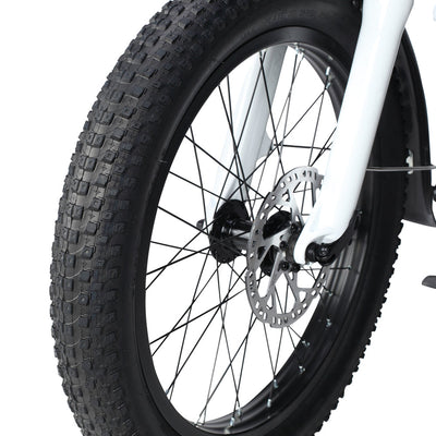 Philodo Traveller 750W Family Cargo Electric Bike