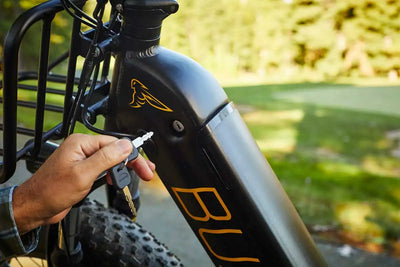 BUZZ CENTRIS FOLDING e-BIKE BLACK