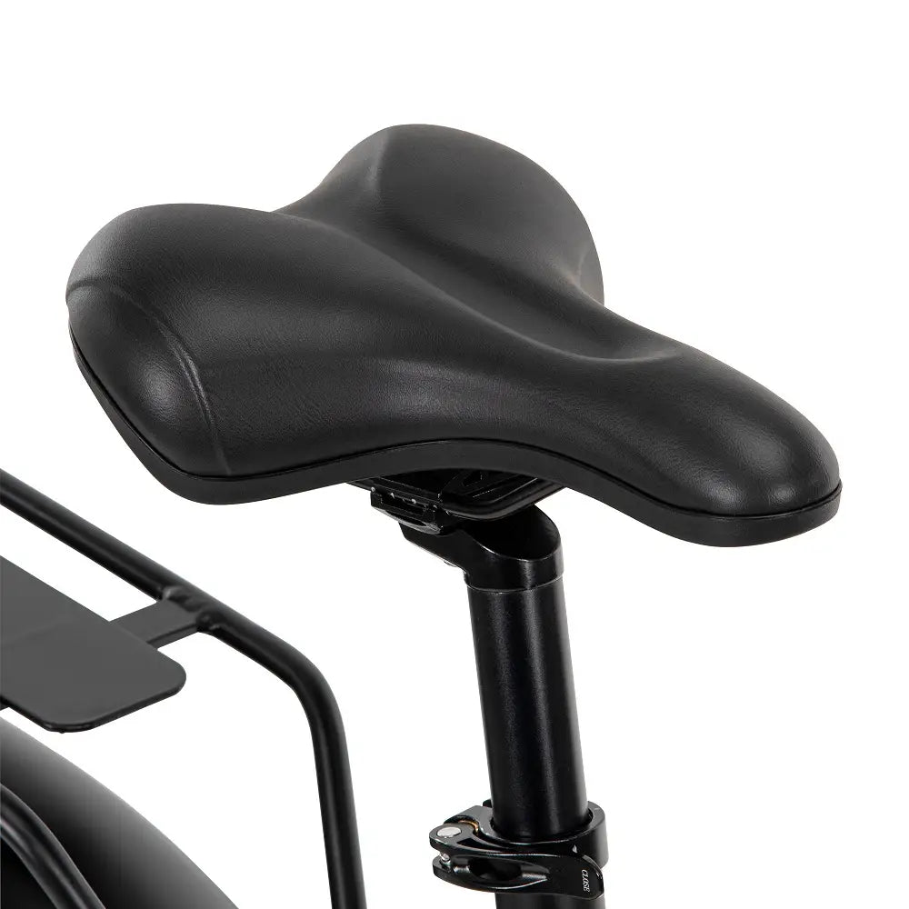 BUZZ CENTRIS FOLDING e-BIKE BLACK