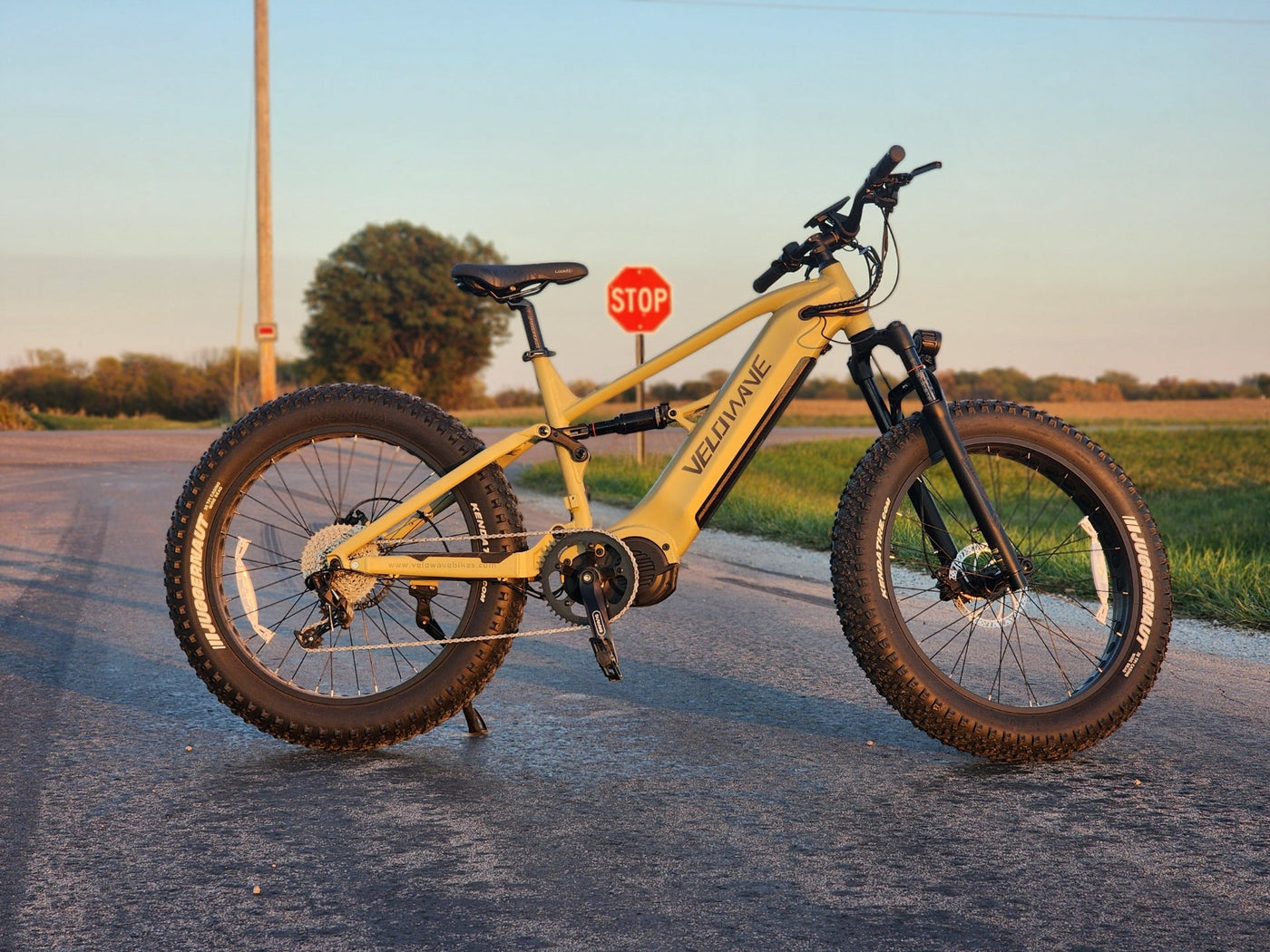 Velowave Brawny XM 1000W Full Suspension Electric Mountain Bike