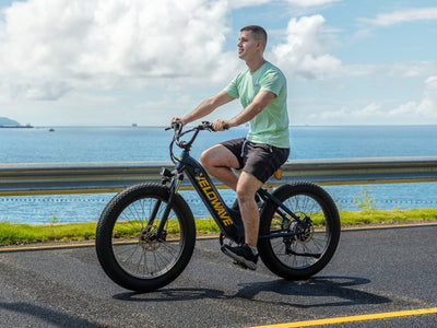 Velowave Rover 750W Step-Thru Fat Tire Electric Bike
