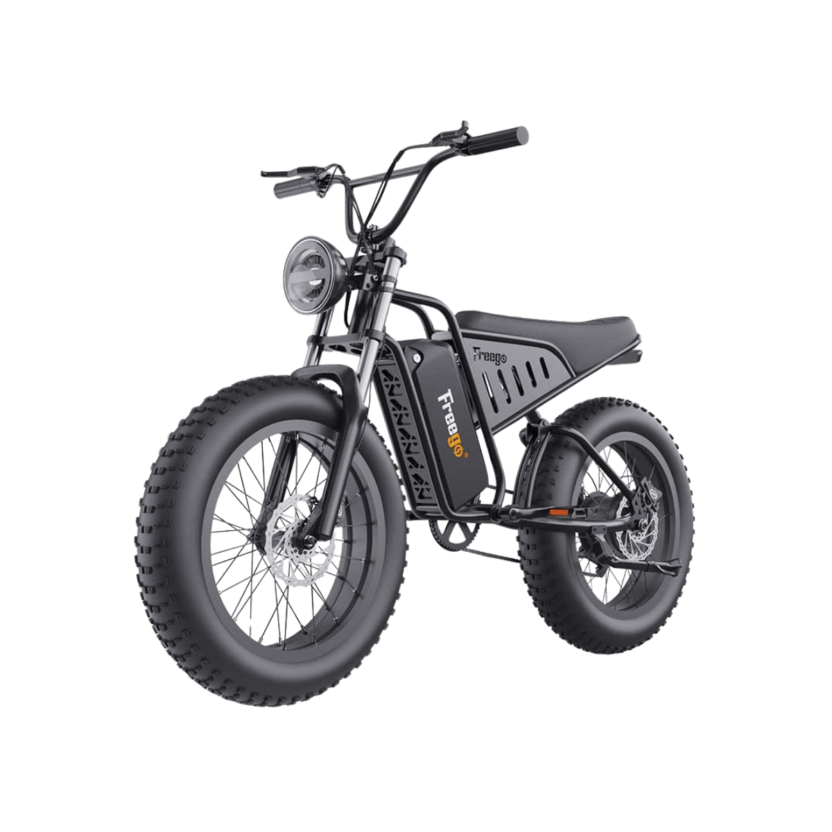Freego S1 Electric Bike | 750W Powerful Motor Adventure Motorcycle