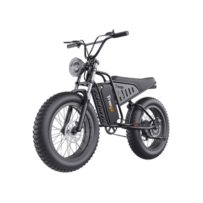Freego S1 Electric Bike | 750W Powerful Motor Adventure Motorcycle