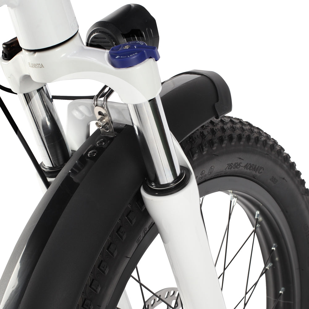 Philodo Traveller 750W Family Cargo Electric Bike