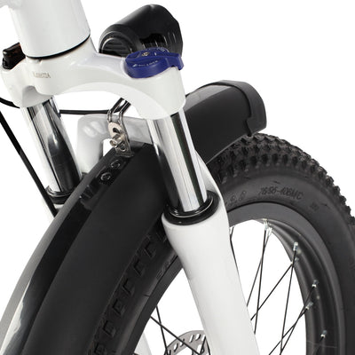 Philodo Traveller 750W Family Cargo Electric Bike