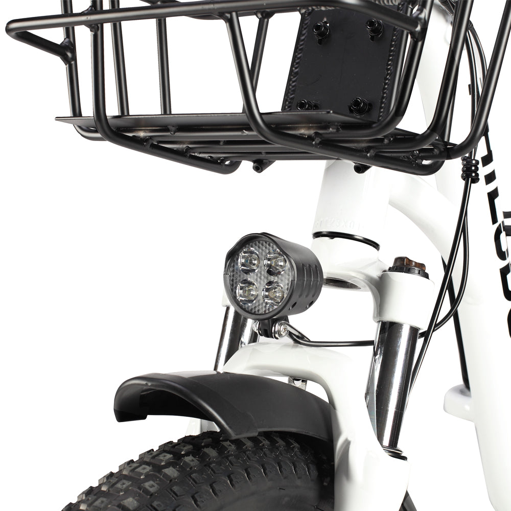 Philodo Traveller 750W Family Cargo Electric Bike