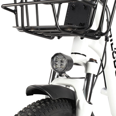 Philodo Traveller 750W Family Cargo Electric Bike