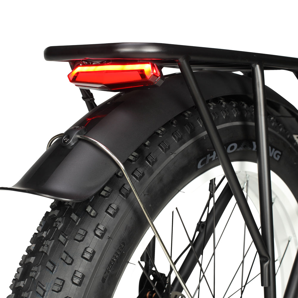 Philodo H8 2000W Dual Motor Fat Tire Electric Bike