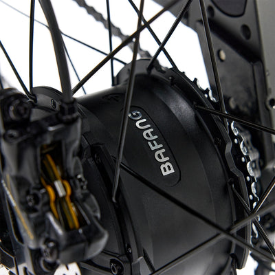 Bakcou Kodiak SD | AWD Step-Through Electric Fat Tire Bike