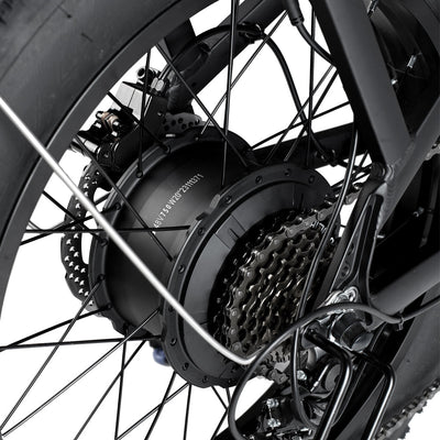 Philodo T1 750W Step-Thru Utility Electric Bike