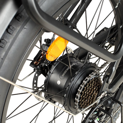 Philodo Forester 4000W Dual Motor Full Suspension Electric Bike