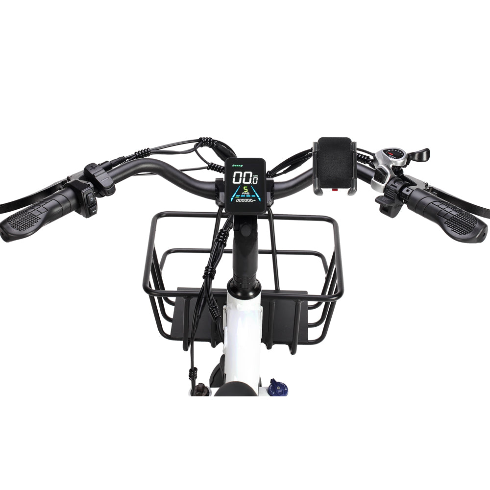 Philodo Traveller 750W Family Cargo Electric Bike