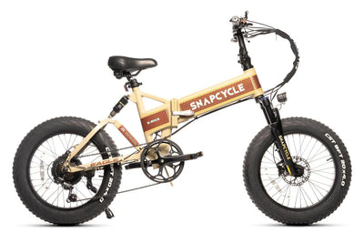 Snapcycle Eagle E-Bike 750W Brushless Geared Motor