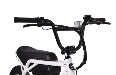 SOLE BICYCLES E(24) Built to withstand, various terrains a lightweight and sturdy ride