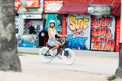 SOLE BICYCLES E(24) Built to withstand, various terrains a lightweight and sturdy ride