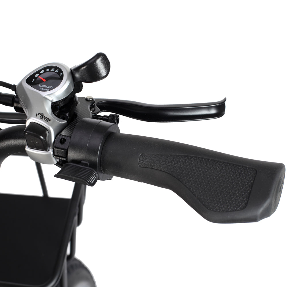 Philodo T1 750W Step-Thru Utility Electric Bike