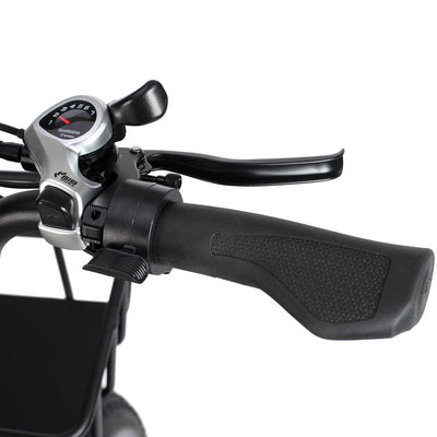 Philodo T1 750W Step-Thru Utility Electric Bike